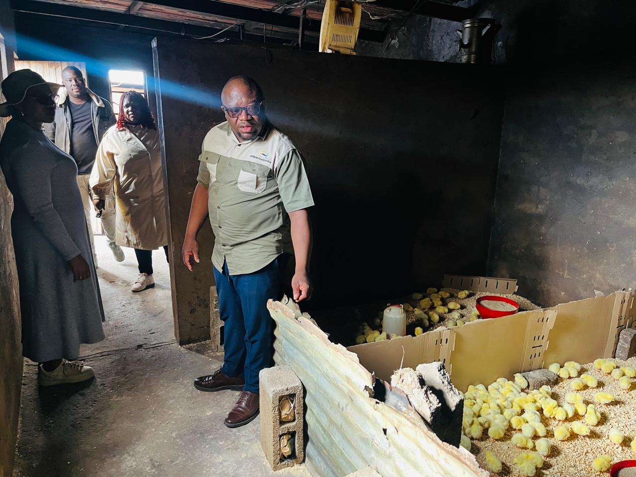 Zanose Farming support visit photo 8
